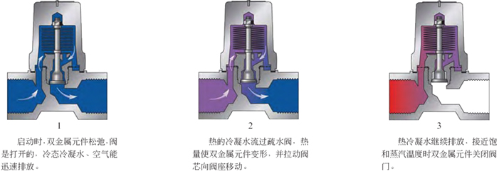 進口雙金屬溫調(diào)式蒸汽疏水閥3.jpg