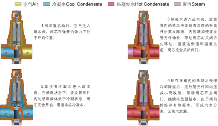 進口恒溫式波紋管蒸汽疏水閥3.jpg