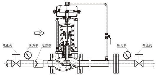 進(jìn)口自力式氧氣減壓閥結(jié)構(gòu)圖.jpg