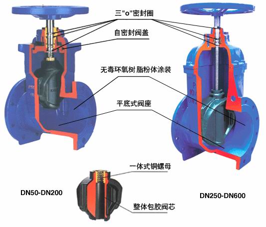 進(jìn)口彈性座封閘閥結(jié)構(gòu)圖.jpg